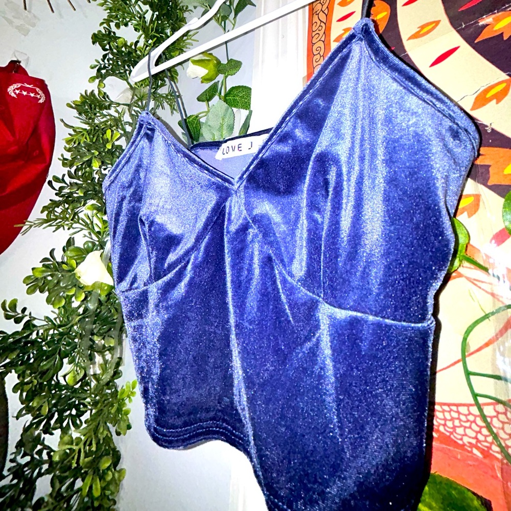 Velvet Crop Top